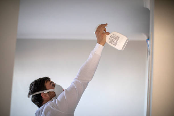 Best Commercial Mold Removal  in Grand Rapids, MI