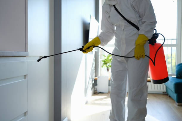 Best Mold Removal Specialists  in Grand Rapids, MI