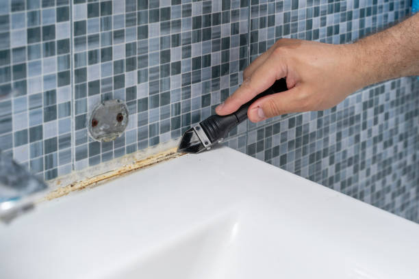 Best Office Mold Removal Services  in Grand Rapids, MI